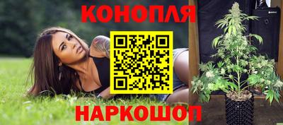 spice Малоярославец
