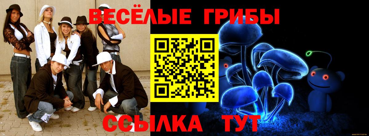 Богданович  дарнет шоп  Вход с VPN  Псилоцибиновые грибы ЛСД 